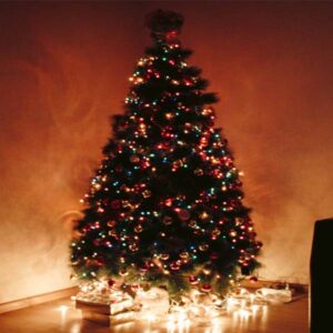 Read more about the article 15 Best Christmas Tree Ideas for a Merry and Bright Home