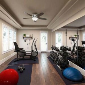 Read more about the article How To Set Up a Home Gym : Top 10 Fitness Essentials