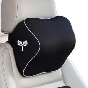 Read more about the article Best Car Neck pillow
