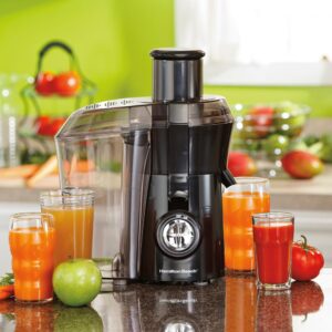 Read more about the article Which is the best cold press juicer