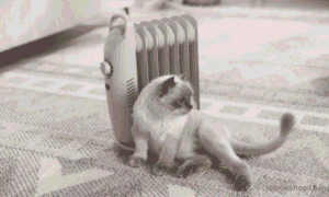 What is Desert Air Cooler in 2026