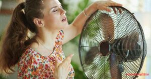 Best Cooler Under Budget for Summer in 2026