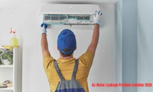 How to Clean ac Outdoor Unit step by step